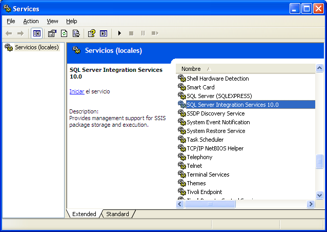 SQL Server Integration Services 10.0